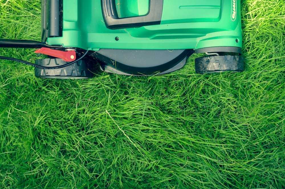 Best Riding Lawn Mowers for Your Property