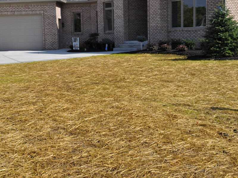 Benefits and Techniques of Lawn Straw Covering