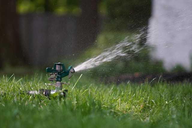 Optimal Lawn Hydration: Best and Worst Time to Water Grass