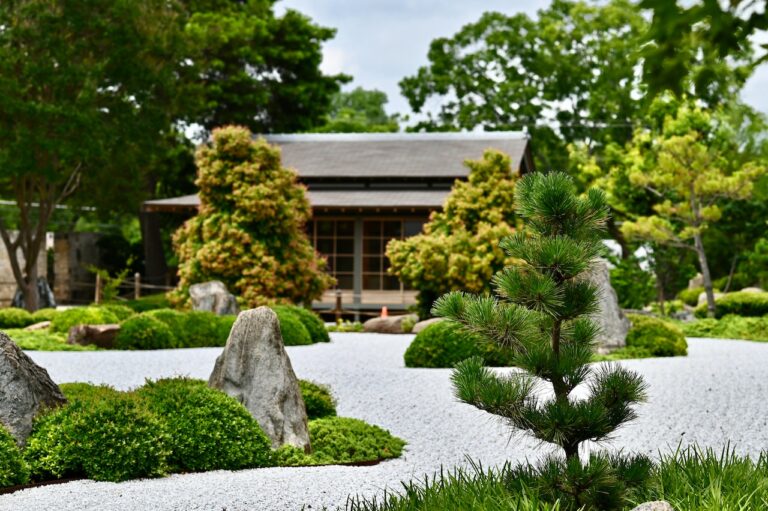Zen Garden Ideas on a Budget: All You Need to Know to Inspire Your Design