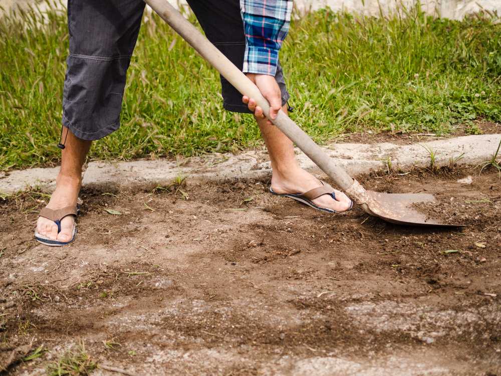 Best Sand for Lawn Leveling: Here’s What You Should Know